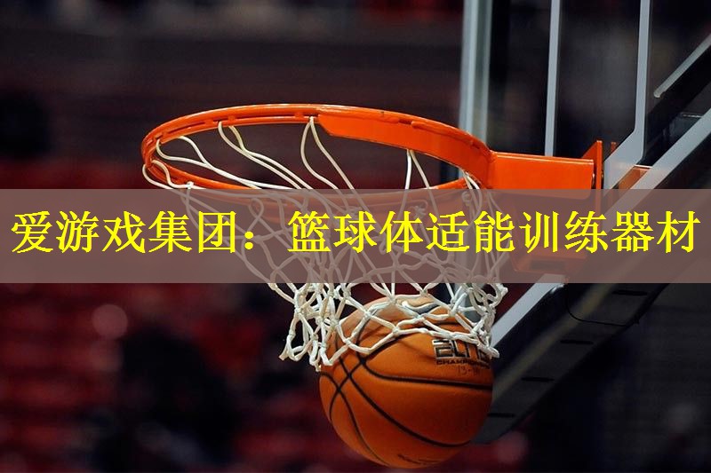 <strong>爱游戏集团：篮球体适能训练器材</strong>