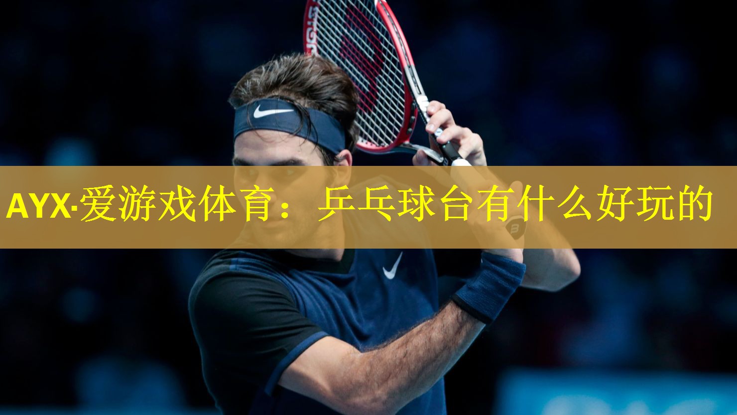 AYX·爱游戏体育：乒乓球台有什么好玩的