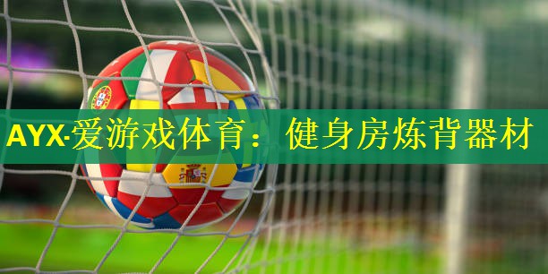 AYX·爱游戏体育：健身房炼背器材