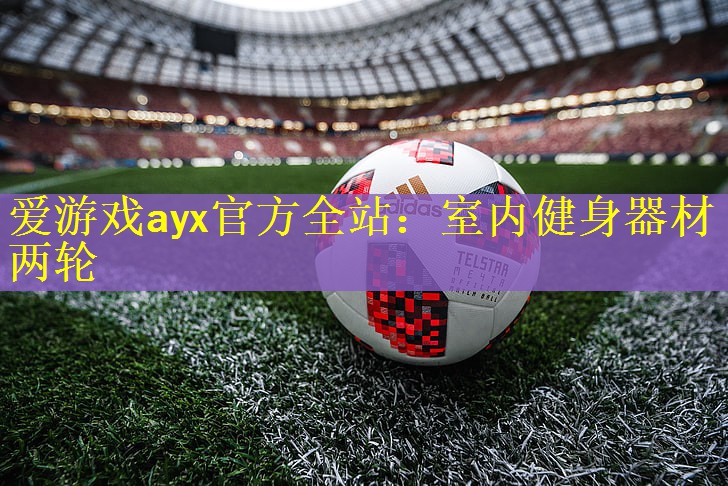 爱游戏ayx官方全站：室内健身器材两轮