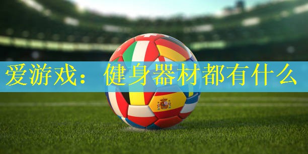 爱游戏：健身器材都有什么