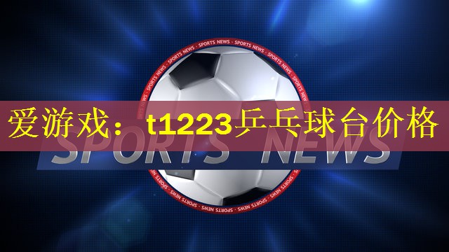 爱游戏：t1223乒乓球台价格