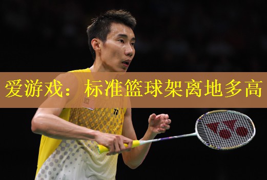 <strong>爱游戏：标准篮球架离地多高</strong>