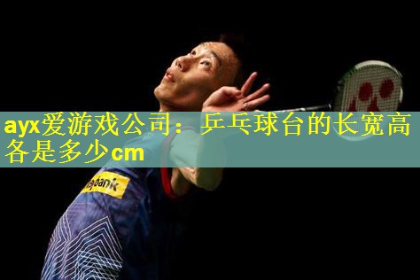 ayx爱游戏公司：乒乓球台的长宽高各是多少cm