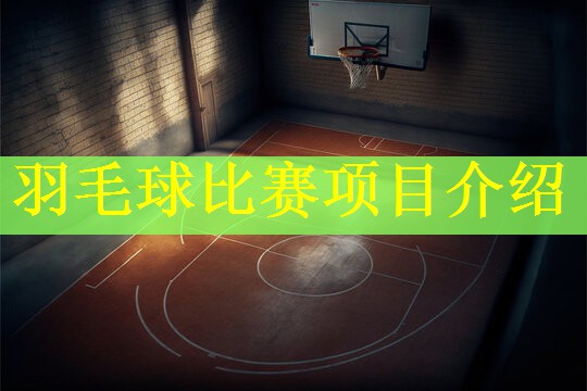 羽毛球比赛项目介绍