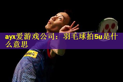 ayx爱游戏公司：羽毛球拍5u是什么意思