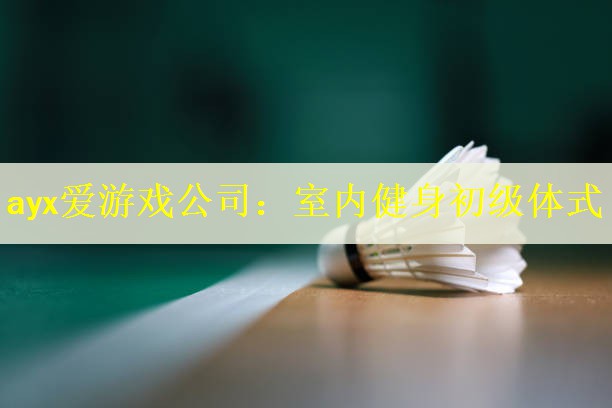 室内健身初级体式