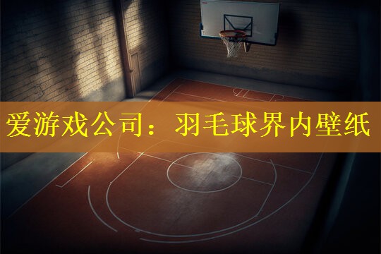羽毛球界内壁纸
