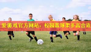 校园篮球架多高合适